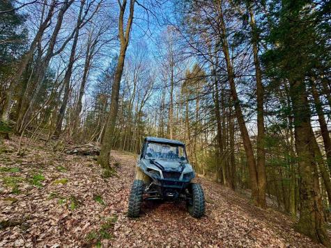 268 Wild Flower Way Albright WV 26519