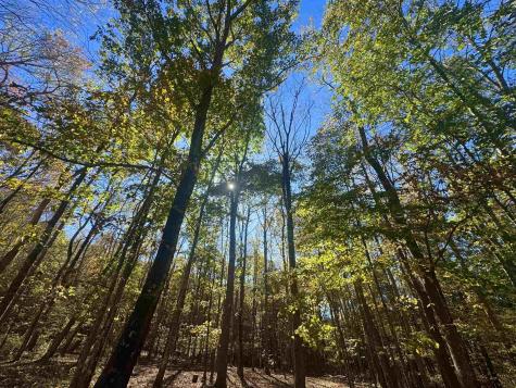 268 Wild Flower Way Albright WV 26519