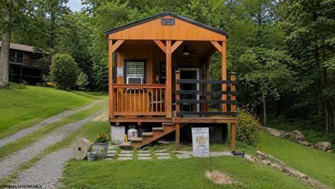 2467 Cuzzart Road Bruceton Mills WV 25625