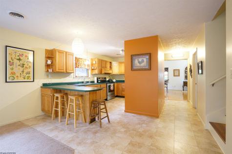 75 Kerry Rock Trail Ellamore WV 26267