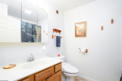 75 Kerry Rock Trail Ellamore WV 26267