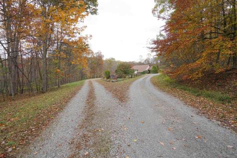 75 Kerry Rock Trail Ellamore WV 26267