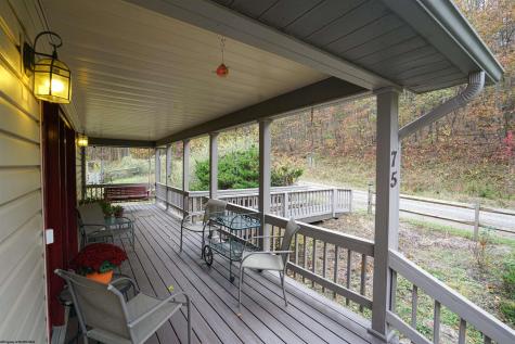 75 Kerry Rock Trail Ellamore WV 26267