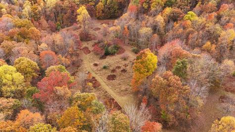 75 Kerry Rock Trail Ellamore WV 26267