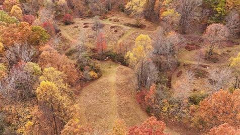 75 Kerry Rock Trail Ellamore WV 26267