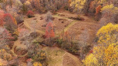 75 Kerry Rock Trail Ellamore WV 26267