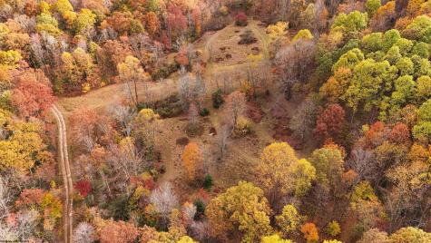 75 Kerry Rock Trail Ellamore WV 26267