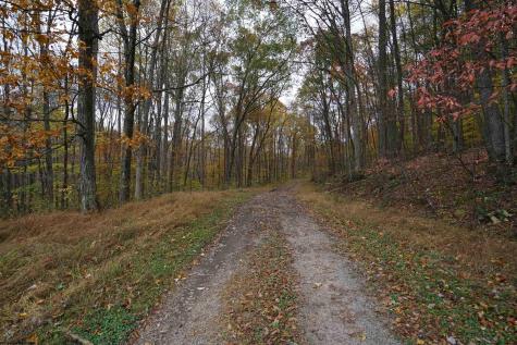 75 Kerry Rock Trail Ellamore WV 26267