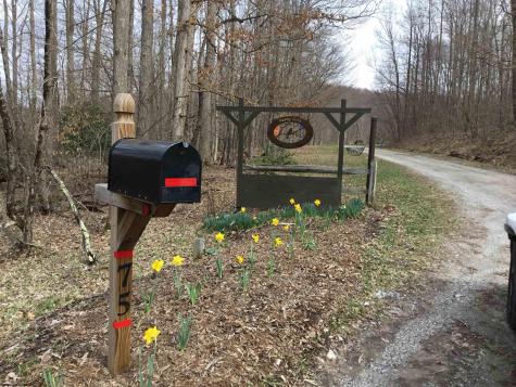 75 Kerry Rock Trail Ellamore WV 26267