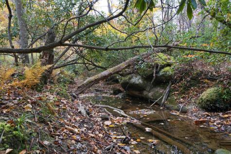 75 Kerry Rock Trail Ellamore WV 26267