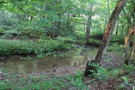 2005 Cleveland Road Hacker Valley WV 26222