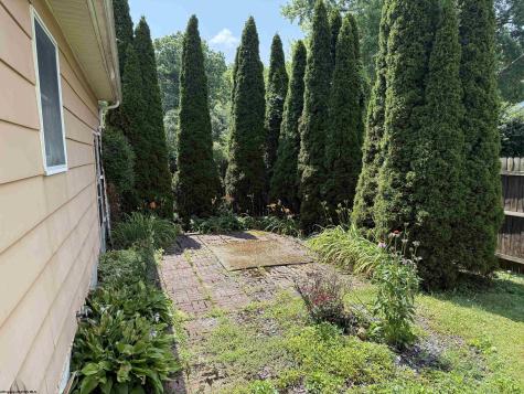 202 Robin Hood Lane Elkins WV 26241