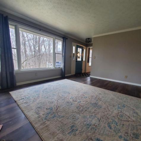 356 Bearhunter Estates Elkins WV 26241