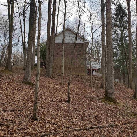 356 Bearhunter Estates Elkins WV 26241