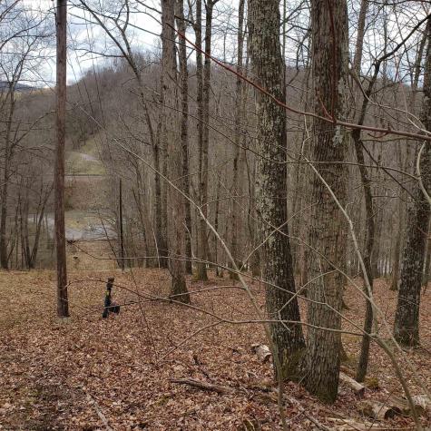 356 Bearhunter Estates Elkins WV 26241