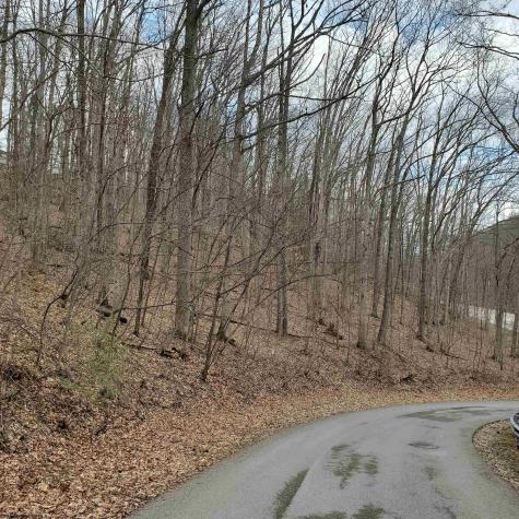 356 Bearhunter Estates Elkins WV 26241