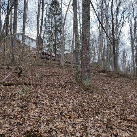 356 Bearhunter Estates Elkins WV 26241