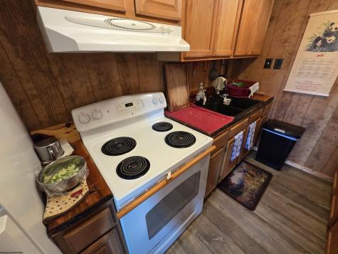 283 Haines Knob Road Whitmer WV 26296