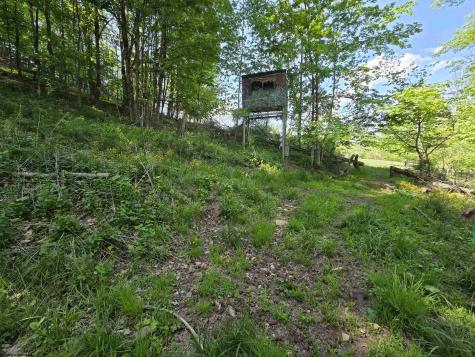 283 Haines Knob Road Whitmer WV 26296