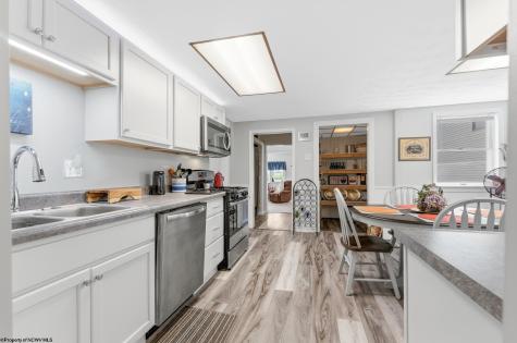 439 Kent Avenue Davis WV 26260