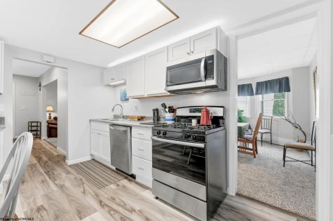 439 Kent Avenue Davis WV 26260