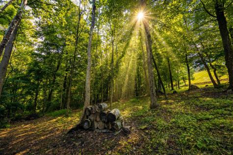 38 E Wind Trail Morgantown WV 26508