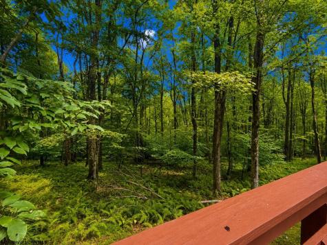 596 Hemlock Circle Terra Alta WV 26764