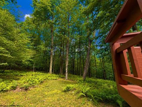 596 Hemlock Circle Terra Alta WV 26764