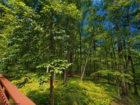 596 Hemlock Circle Terra Alta WV 26764