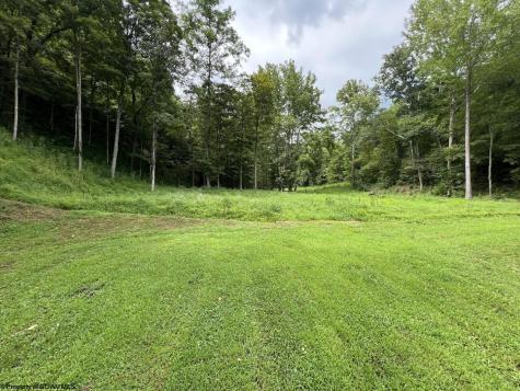 35 Mcintyre Road Center Point WV 26339