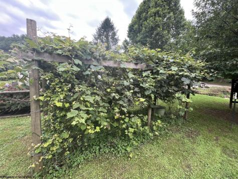 35 Mcintyre Road Center Point WV 26339