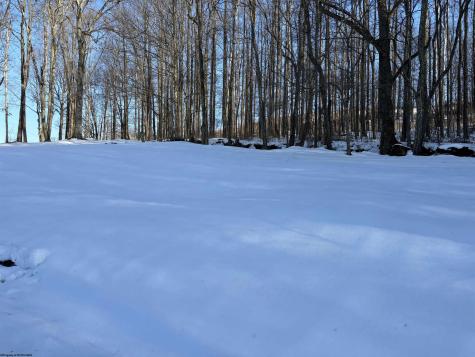 29 Redfern Road Lost Creek WV 26385-7059