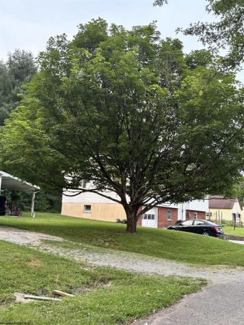 222 Lee Street Belington WV 26250