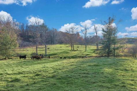 27424 George Washington Highway Aurora WV 26705