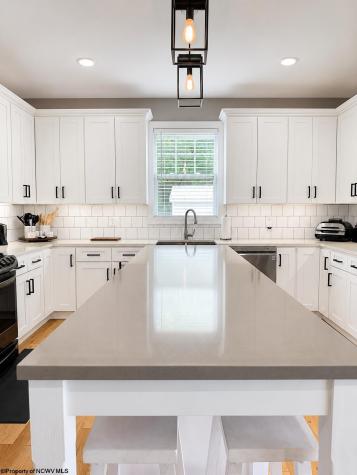 154 Thornberry Lane Ellamore WV 26267