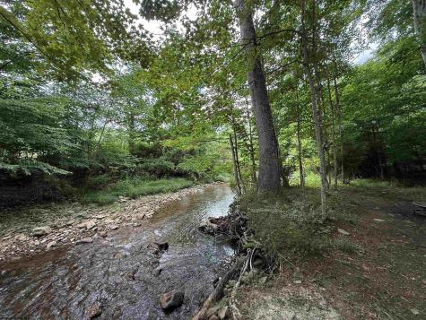 137 Washboard Lane Mill Creek WV 26280