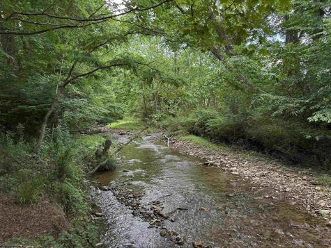 137 Washboard Lane Mill Creek WV 26280