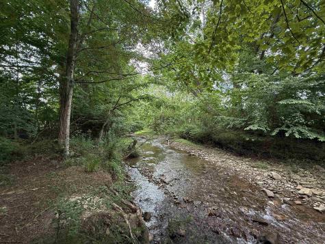 137 Washboard Lane Mill Creek WV 26280