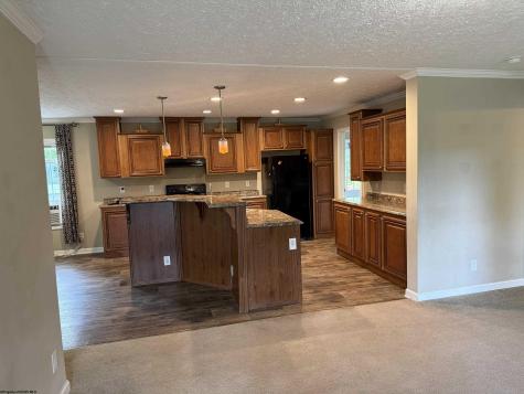 137 Washboard Lane Mill Creek WV 26280