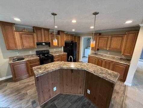 137 Washboard Lane Mill Creek WV 26280