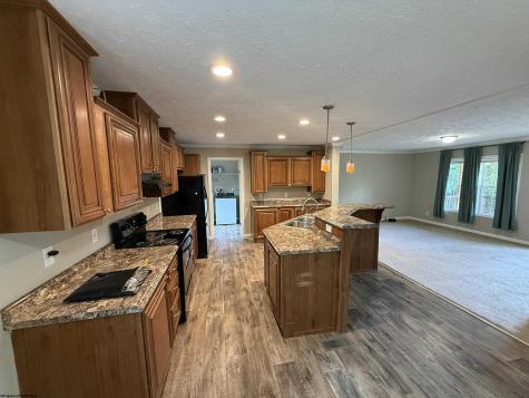137 Washboard Lane Mill Creek WV 26280