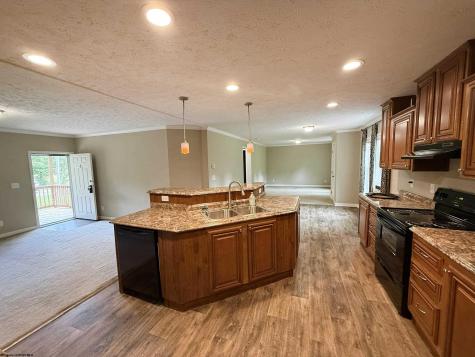 137 Washboard Lane Mill Creek WV 26280