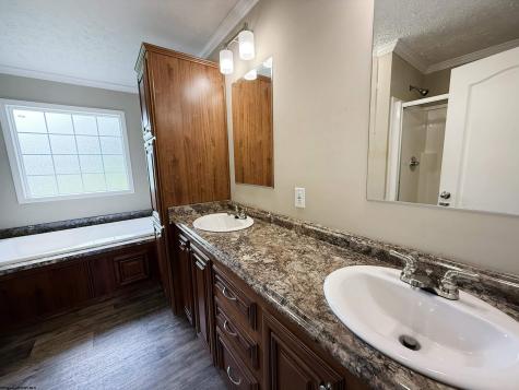 137 Washboard Lane Mill Creek WV 26280
