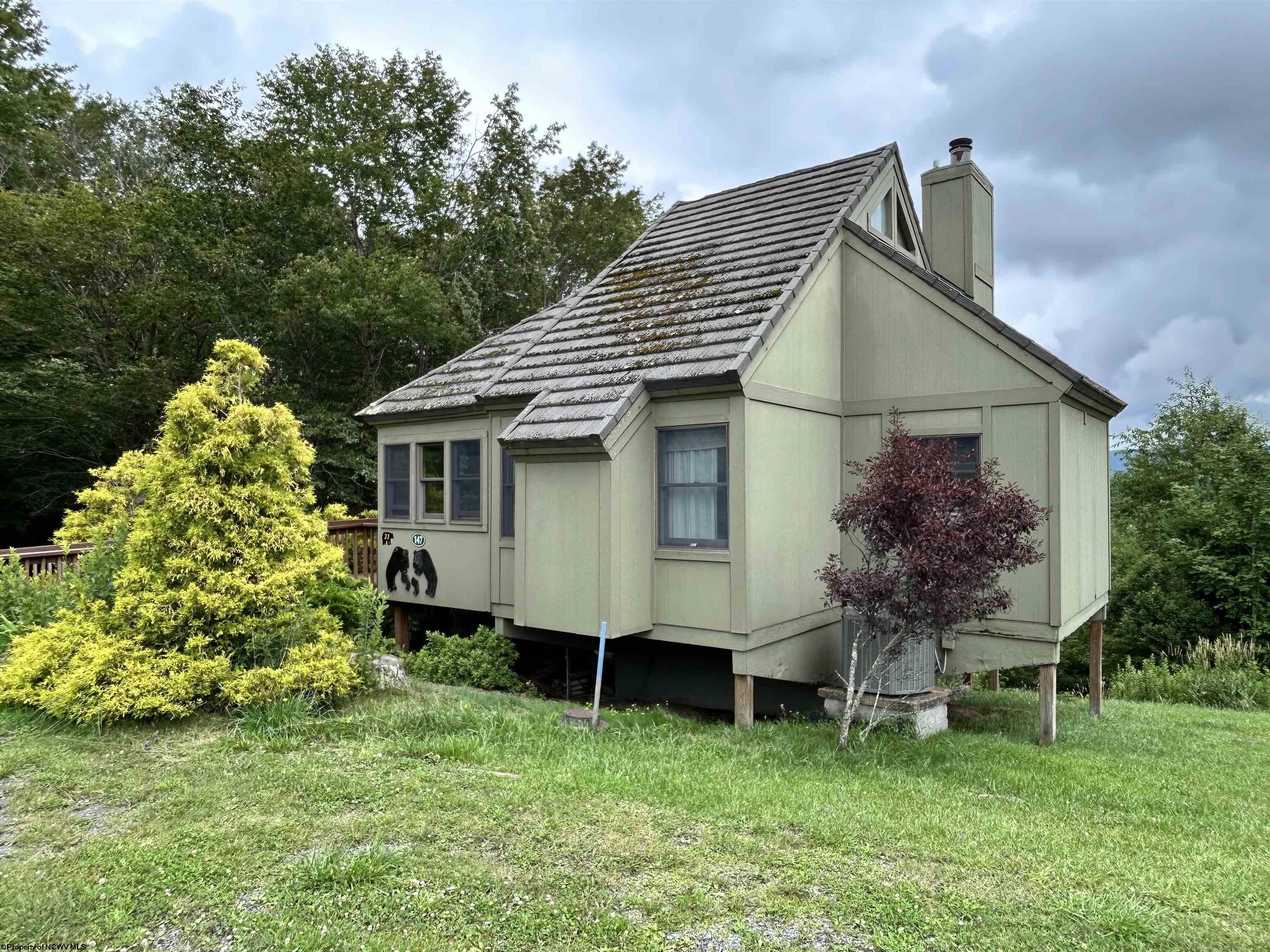 147 Wildflower Way Davis WV 26260