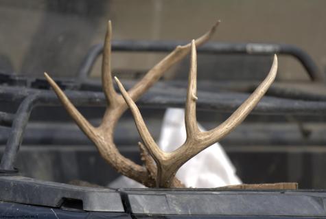 583 Mills Street West Milford WV 26451