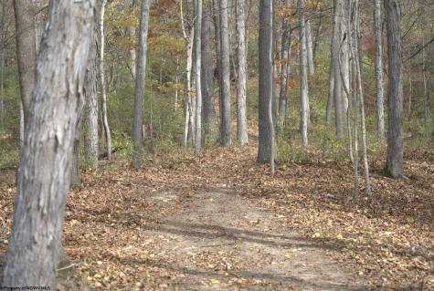 583 Mills Street West Milford WV 26451