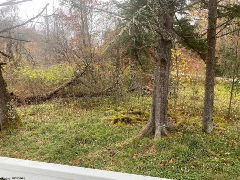114 Alpena Gap Road Bowden WV 26254