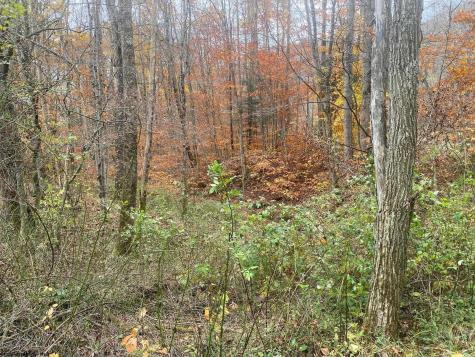 114 Alpena Gap Road Bowden WV 26254