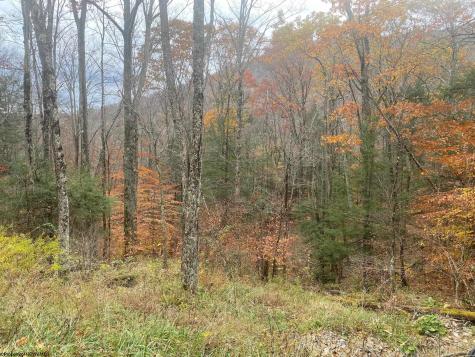 114 Alpena Gap Road Bowden WV 26254