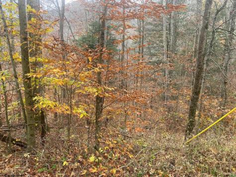 114 Alpena Gap Road Bowden WV 26254
